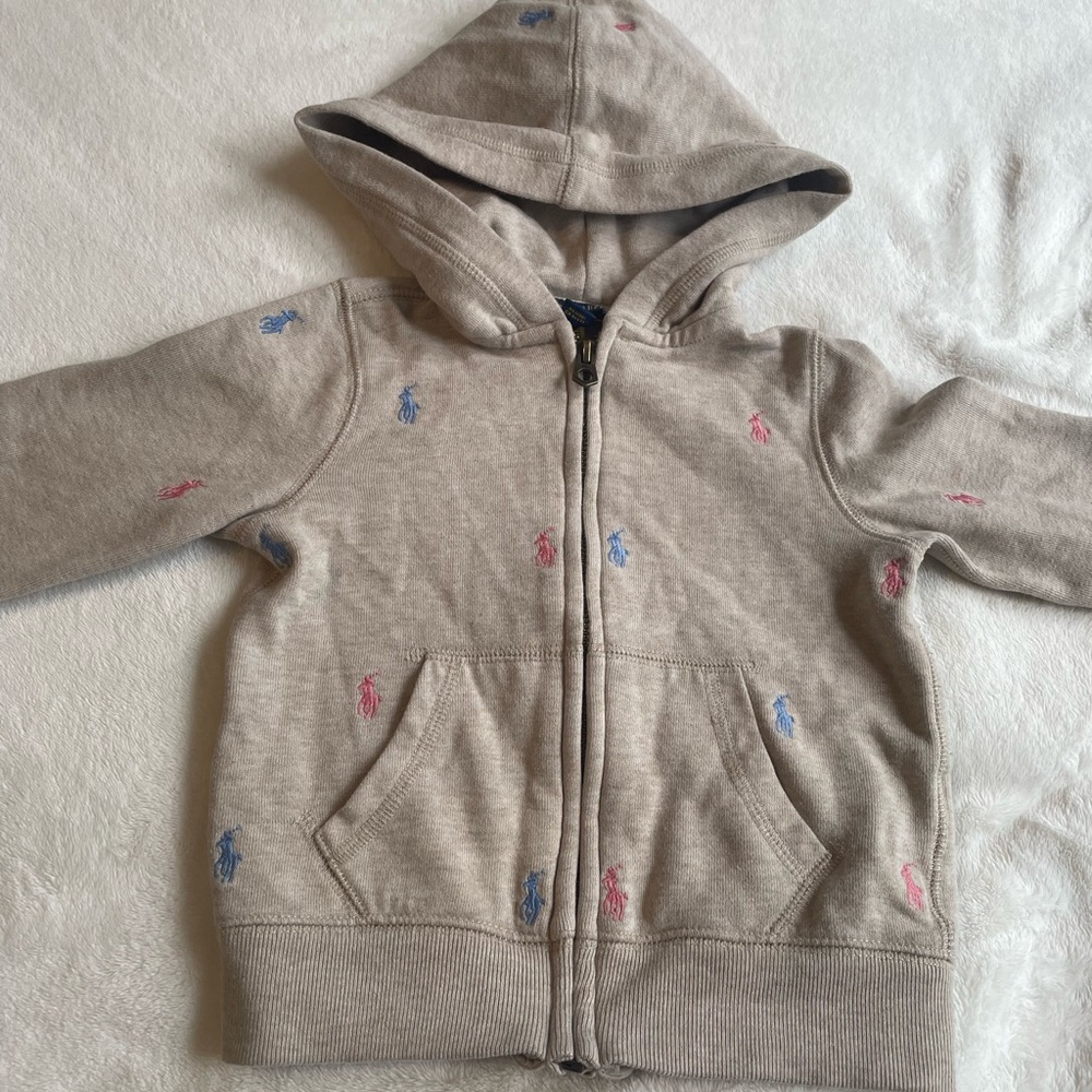 Polo by Ralph Lauren Kids Beige Hoodie with Colorful Embroidery